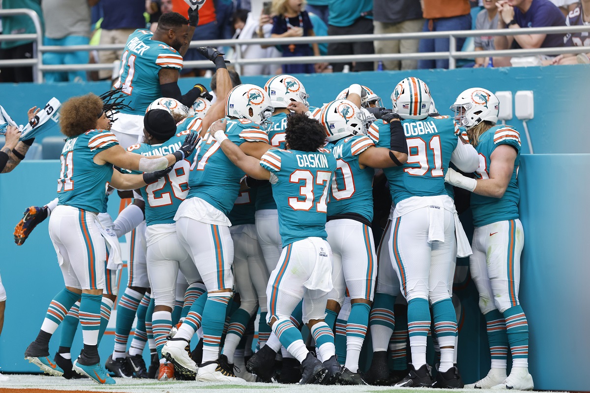 Dolphins buscan protagonismo